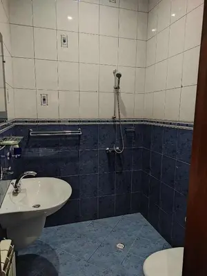 a bathroom with a sink and a toilet at Семеен хотел МАКСИМ in Teteven