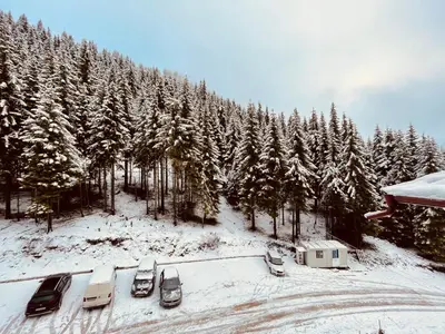 a group of cars parked in front of a snow covered forest at Studio Harmony, Pamporovo in Pamporovo