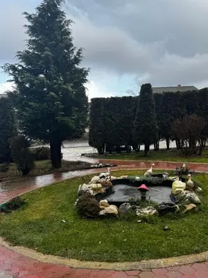a garden with a pond in the grass with a tree at Уютни планински апартаменти с басейн в комплекс Алпин Лодж in Bansko