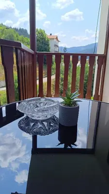a glass table with a potted plant on a balcony at Родопско сърце in Chepelare