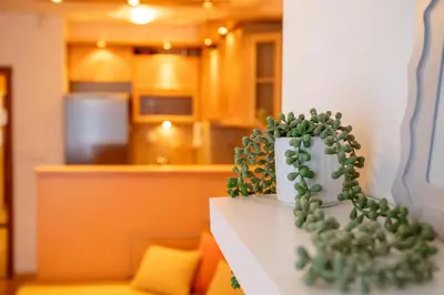 a couple of plants sitting on top of a counter at Casita Central - FREE Private Parking & Metro station in Sofia