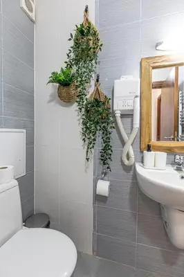a bathroom with a toilet and a sink at Alpine Escape Bansko in Bansko