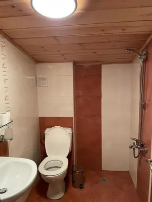 a bathroom with a toilet and a sink at Kalaydzhiev Guest House - Къща с 5 спални in Bansko