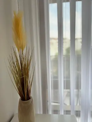 a vase with plants in it next to a window at Rea Silena - Modern and Stylish Studio in Sofia