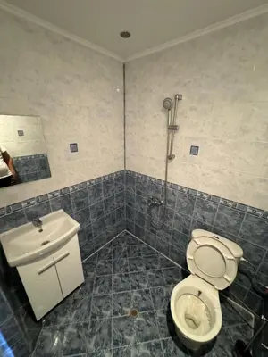 a bathroom with a toilet and a sink at Guest House Chala in Chala