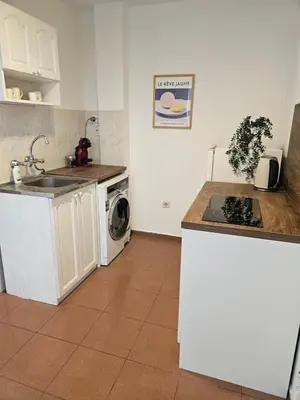 a kitchen with a sink and a washing machine at Charming Ground Floor Aprt In Old Sofia in Sofia