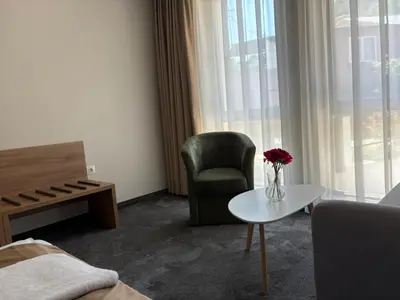 a living room with a chair and a vase of flowers on a table at Hotel Odrys in Plovdiv