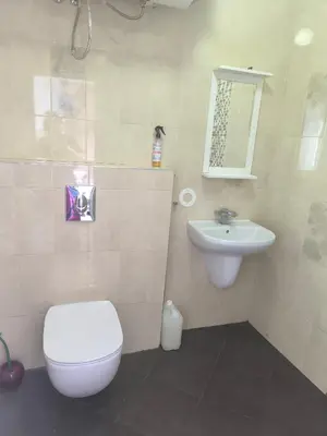 a bathroom with a toilet and a sink at Sunny Hollow in Sofia