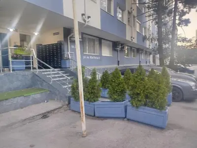 a row of potted plants in front of a building at Sunny Hollow in Sofia