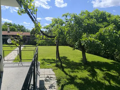 a view of a yard with two trees on a porch at City Garden - Amazing Garden for party and friends in Kostinbrod
