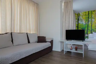 a living room with a couch and a flat screen tv at Просторен апартамент за семейна почивка in Hisarya