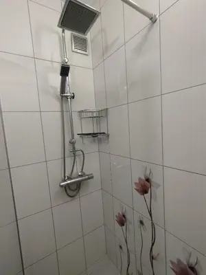 a bathroom with a shower with a fan and flowers at Nadi in Plovdiv