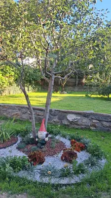 a tree with a red cone in a garden at Къща за гости Рилски чардак in Sapareva Banya