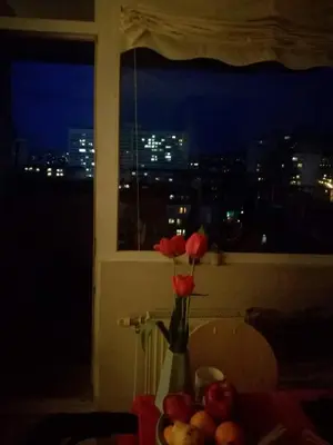 a vase with red roses on a table with a window at Artsy Penthouse & mountain view in Sofia