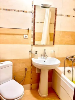 a bathroom with a sink and a toilet and a mirror at Wood Fireplace Duplex near Pamporovo - Parking, Sleeps 6 in Smolyan