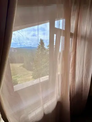 a window with a view of a tree at Green View Apartment in Chepelare