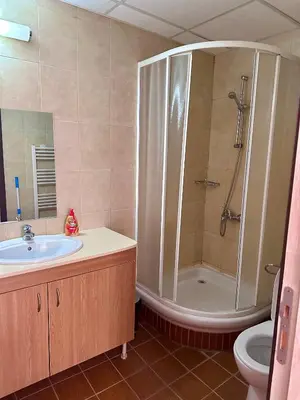 a bathroom with a shower and a sink and a toilet at Green View Apartment in Chepelare