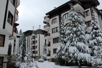 a snow covered tree in front of a building at Private apartments in Flora Residence in Borovets