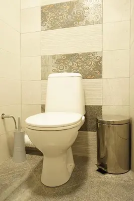 a bathroom with a white toilet in a room at Къща за Гости Тодор in Shiroki Dol