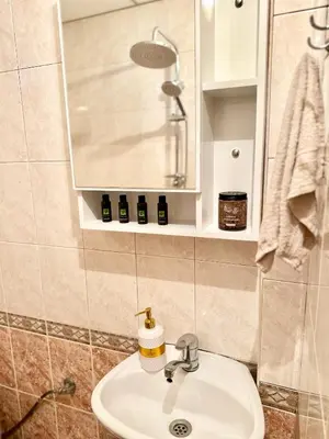 a bathroom with a sink and a shower and a mirror at The Central Suite in Petrich