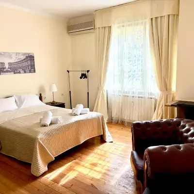 Big & Cozy Central Apartment