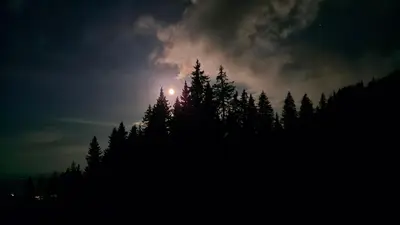 a moon rising over a forest of trees at night at Tulip Studio Deluxe, Grand Resort Pamporovo in Pamporovo