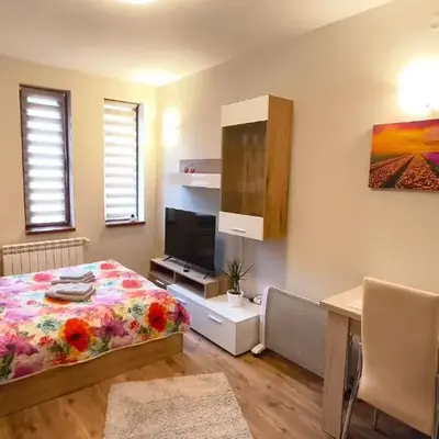 Tulip Studio Deluxe