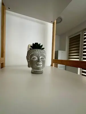 a vase sitting on a table with a plant in it at TVS Apartment-City centre in Plovdiv