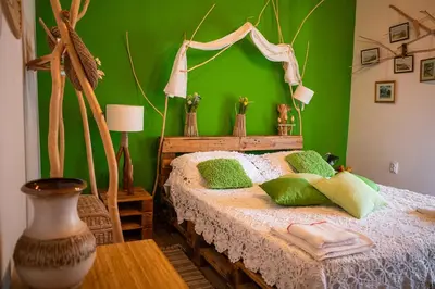 a green bedroom with a bed with green walls at Yaninata Art House in Teteven in Teteven