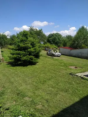 a green yard with a tree and a car at Вила 