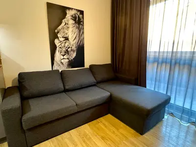 a living room with a couch and a lion picture at Studio Sredec 77 in Plovdiv