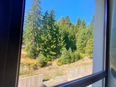 a view of a forest from a window at Apartment B34, complex Sokolitsite in Smolyan