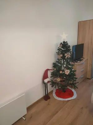 a christmas tree in a living room with a television at Apartment B34, complex Sokolitsite in Smolyan