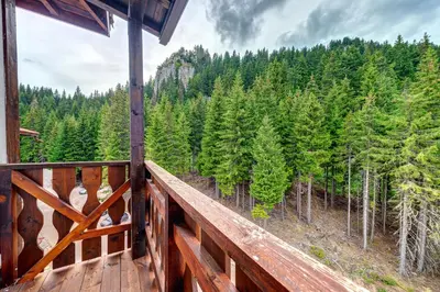 a balcony of a cabin with a view of a forest at Mountain Luxe Studio by Flat Manаger in Pamporovo