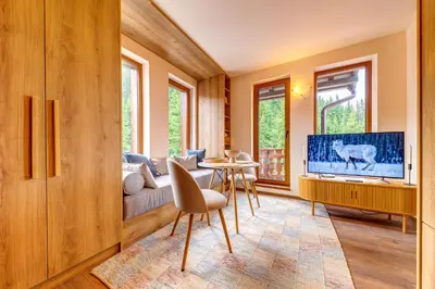 a living room with a couch and a tv at Mountain Luxe Studio by Flat Manаger in Pamporovo
