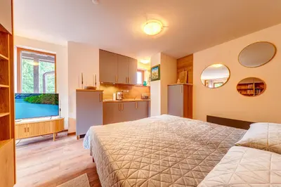 a large bedroom with a bed and a kitchen at Mountain Luxe Studio by Flat Manаger in Pamporovo