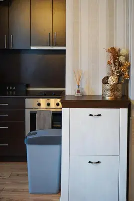 a kitchen with a blue trash can in a kitchen at Pirin Elegance Apartment by Gondola Lift in Bansko