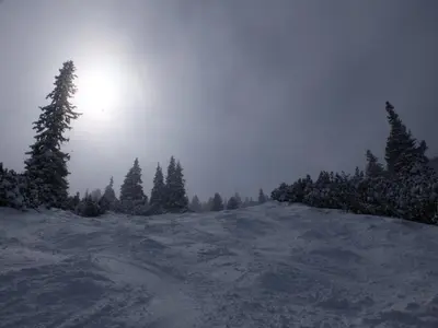 a snow covered hill with trees in the background at Borovets Apartments, Flora Violet Residence in Borovets