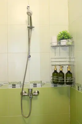 a bathroom with a shower with bottles on a shelf at Lucy in Sandanski