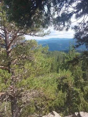 a view from the top of a mountain with trees at Къща за гости У Нико in Orehovo