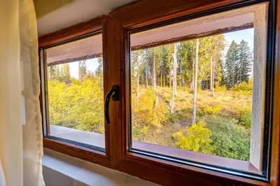 a window with a view of a forest at Top floor Ski-In Stay in Pamporovo