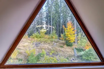 a view of a forest from a window at Top floor Ski-In Stay in Pamporovo