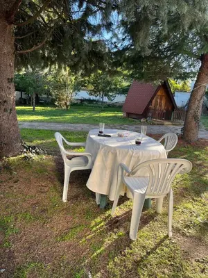 a table and chairs sitting under a tree at Country House БатЖоро