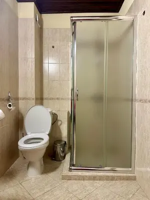 a bathroom with a toilet and a glass shower stall at Alpine Apartment Home2Host in Bansko
