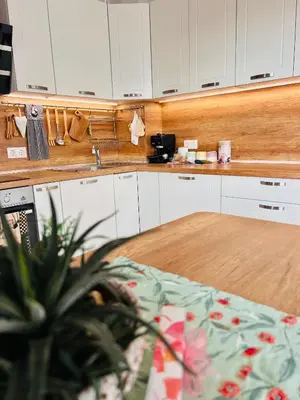 a kitchen with white cabinets and a potted plant at Cosy Dream Appartment near Borovets in Samokov