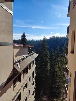 a view of the trees from the balcony of a building at Апартамент почивка в планината in Pamporovo