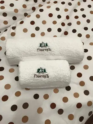 three rolls of toilet paper on a polka dot background at Семеен хотел Гингеръ in Pamporovo