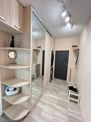 a walk in closet with a large mirror in a room at Lima 2BDR cozy Apt near Business Park w Work Desk in Sofia