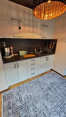 a kitchen with a sink and a kitchen rug at Cozy spot at the heart of Sofia in Sofia
