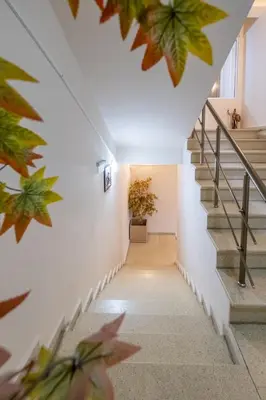 a staircase in a building with a plant at Julia rooms in Sofia